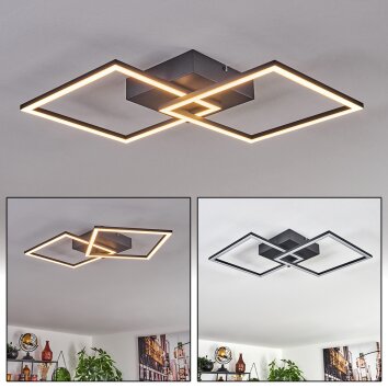 Obo Plafondlamp LED Zwart, 1-licht