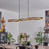 Carcano Plafondlamp LED Zwart, 1-licht