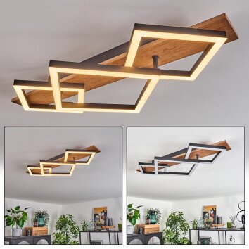 Cascada Plafondlamp Bruin, houtlook, Zwart, 1-licht