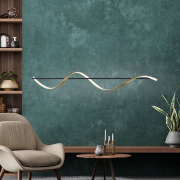 Paul Neuhaus Q-SWING Hanglamp LED Antraciet, Goud, 1-licht, Afstandsbediening