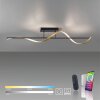 Paul Neuhaus Q-SWING Plafondlamp LED Antraciet, Goud, 1-licht, Afstandsbediening