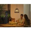 Philips Hue E14 LED 5,1 Watt 4000 Kelvin 470 Lumen