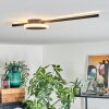 Amdal Plafondlamp LED Zwart, 2-lichts