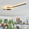 Amdal Plafondlamp LED Zwart, 2-lichts