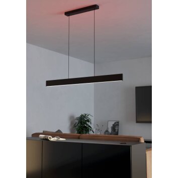 Eglo ANDREAS-Z Hanger LED Zwart, 2-lichts, Kleurwisselaar