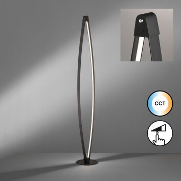 Fischer & Honsel Fenga Staande lamp LED Zwart, 1-licht