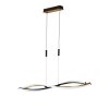 Fischer & Honsel Torcido Hanglamp LED Zwart, 1-licht, Afstandsbediening