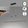 Fischer & Honsel SHINE-WOOD Hanglamp LED Zwart, 1-licht