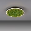 Leuchten-Direkt GREEN RITUS Plafondlamp LED Zwart, 1-licht