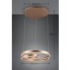 Trio Marnie Hanglamp LED Bruin, 1-licht