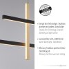 Paul Neuhaus BARRA Hanglamp LED Goud, Zwart, 1-licht