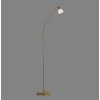 Paul Neuhaus PINO Staande lamp LED Oud messing, 1-licht