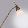 Paul Neuhaus PINO Staande lamp LED Oud messing, 1-licht