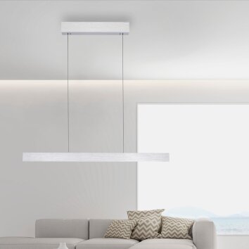 Paul Neuhaus PURE E-MOTION Hanglamp LED Zilver, 1-licht, Afstandsbediening