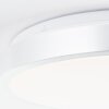 Brilliant Livius Plafondlamp LED Zilver, 1-licht