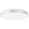 Brilliant Livius Plafondlamp LED Zilver, 1-licht, Afstandsbediening