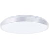 Brilliant Livius Plafondlamp LED Zilver, 1-licht, Afstandsbediening