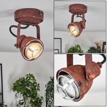 Drobak Plafondlamp Roest, Zwart, 1-licht