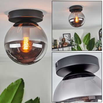 Gastor Plafondlamp - Glas Rookkleurig, 1-licht