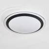 Castasegna Plafondlamp LED Wit, 1-licht