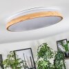 Sofo Plafondlamp LED Wit, 1-licht, Afstandsbediening