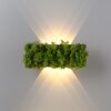 Leuchten-Direkt GREEN CARLO Muurlamp LED Zilver, 6-lichts