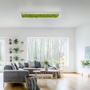 Leuchten-Direkt GREEN KNUT Plafondlamp LED Zilver, 1-licht