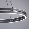 Paul-Neuhaus PURE E-LOOP Hanglamp LED Grijs, 2-lichts, Afstandsbediening