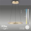 Paul-Neuhaus PURE E-LOOP Hanglamp LED Goud, 2-lichts, Afstandsbediening