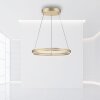 Paul-Neuhaus PURE E-LOOP Hanglamp LED Goud, 2-lichts, Afstandsbediening