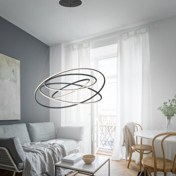 Paul-Neuhaus TESSARA Hanglamp LED Antraciet, 1-licht, Afstandsbediening