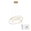 Paul-Neuhaus TESSARA Hanglamp LED Goud, 1-licht, Afstandsbediening