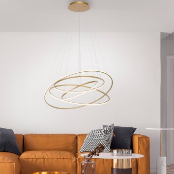 Paul-Neuhaus TESSARA Hanglamp LED Goud, 1-licht, Afstandsbediening