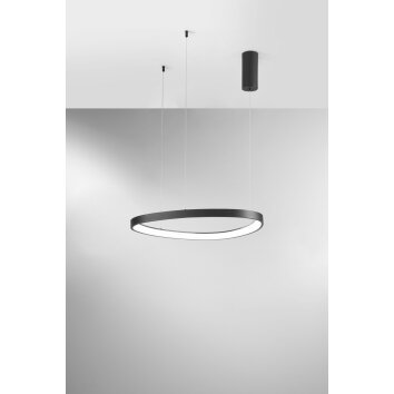 Lutec BEZI Hanglamp LED Zwart, 1-licht