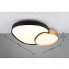 Trio RISE Plafondlamp LED Zwart-Goud, 1-licht, Afstandsbediening