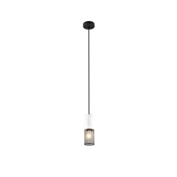 Trio TOSH Hanglamp Zwart, 1-licht