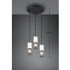 Trio TOSH Hanglamp Zwart, 3-lichts