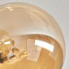 Chehalis Plafondlamp - Glas 12 cm, 15 cm Goud, Zwart, 6-lichts