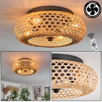 Bauro Plafondlamp 50 cm Zwart, 4-lichts, Afstandsbediening