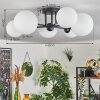 Chehalis Plafondlamp - Glas 12 cm, 15 cm Wit, 6-lichts
