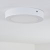 Leto Buitenshuis plafond verlichting LED Wit, 1-licht