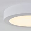 Leto Buitenshuis plafond verlichting LED Wit, 1-licht