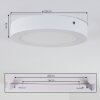 Leto Buitenshuis plafond verlichting LED Wit, 1-licht