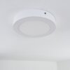 Leto Buitenshuis plafond verlichting LED Wit, 1-licht