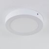 Leto Buitenshuis plafond verlichting LED Wit, 1-licht