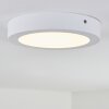 Leto Buitenshuis plafond verlichting LED Wit, 1-licht