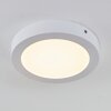 Leto Buitenshuis plafond verlichting LED Wit, 1-licht