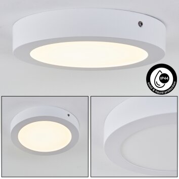 Leto Buitenshuis plafond verlichting LED Wit, 1-licht