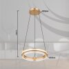 Globo BLONDIE Hanger LED Goud, 1-licht, Afstandsbediening