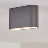 Dalarna Plafondlamp LED Grijs, Zilver, 1-licht